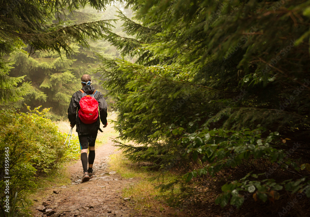 man wearing backpack with red rain cover trekking on the forest trail