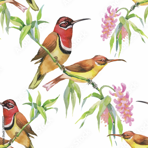 Watercolor Wild exotic birds on flowers seamless pattern on