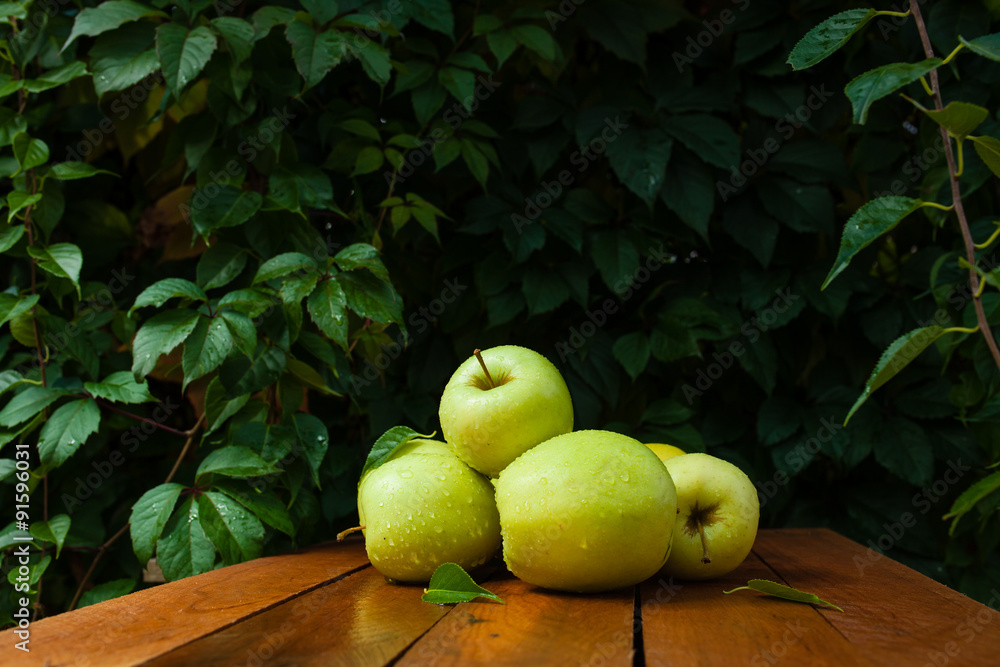 зеленые яблоки в деревне на фоне зелени