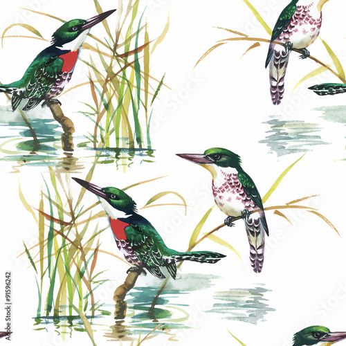 Watercolor Wild exotic birds on flowers seamless pattern on