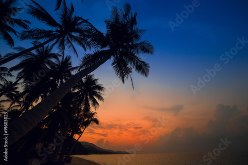 Fototapeta Naklejka Na Ścianę i Meble -  Palm Trees silhouettes on the Colorful Sky Sunset or Sunrise background