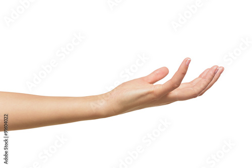Open a woman's hand, palm up. © Denis Rozhnovsky