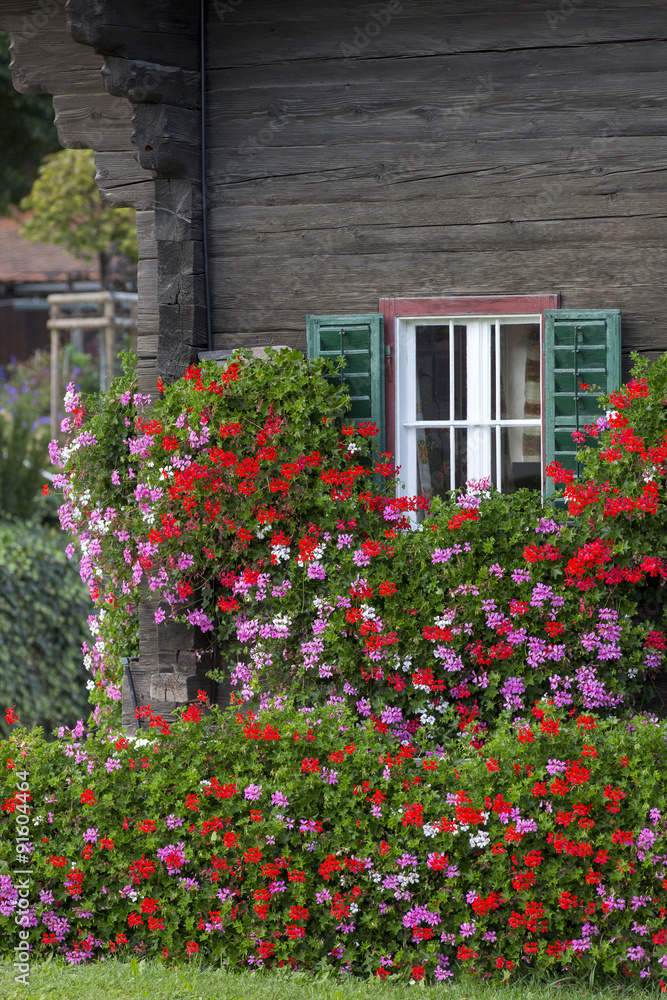 Fototapeta premium Blumen vor dem Fenster eines alten Bauernhof in der Steiermark, Österreich
