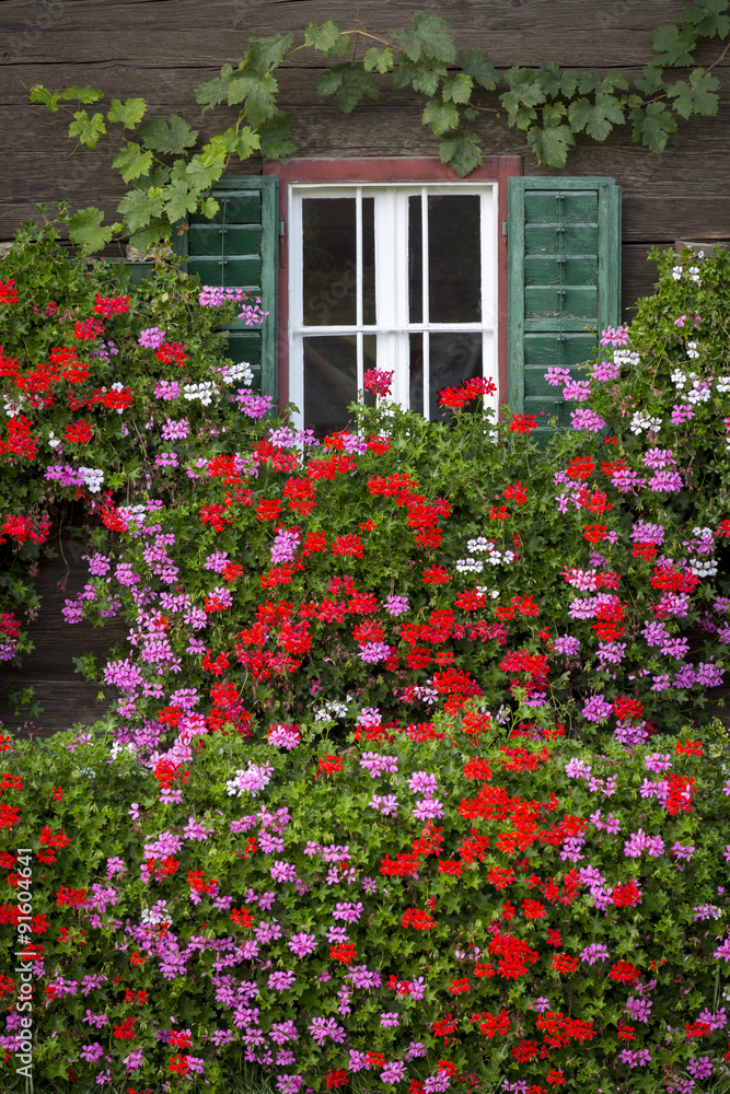 Blumen vor dem Fenster eines alten Bauernhof in der Steiermark, Österreich