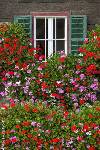 Blumen vor dem Fenster eines alten Bauernhof in der Steiermark, Österreich © Lunghammer