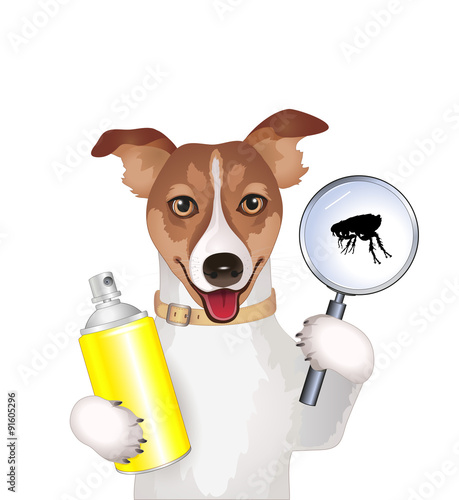 Dog with a magnifying glass, flea and spray
Vector illustration isolated on white background
