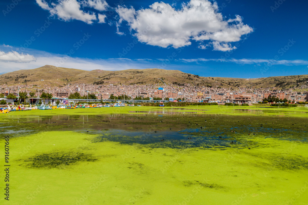 Fototapeta premium Harbor in Puno