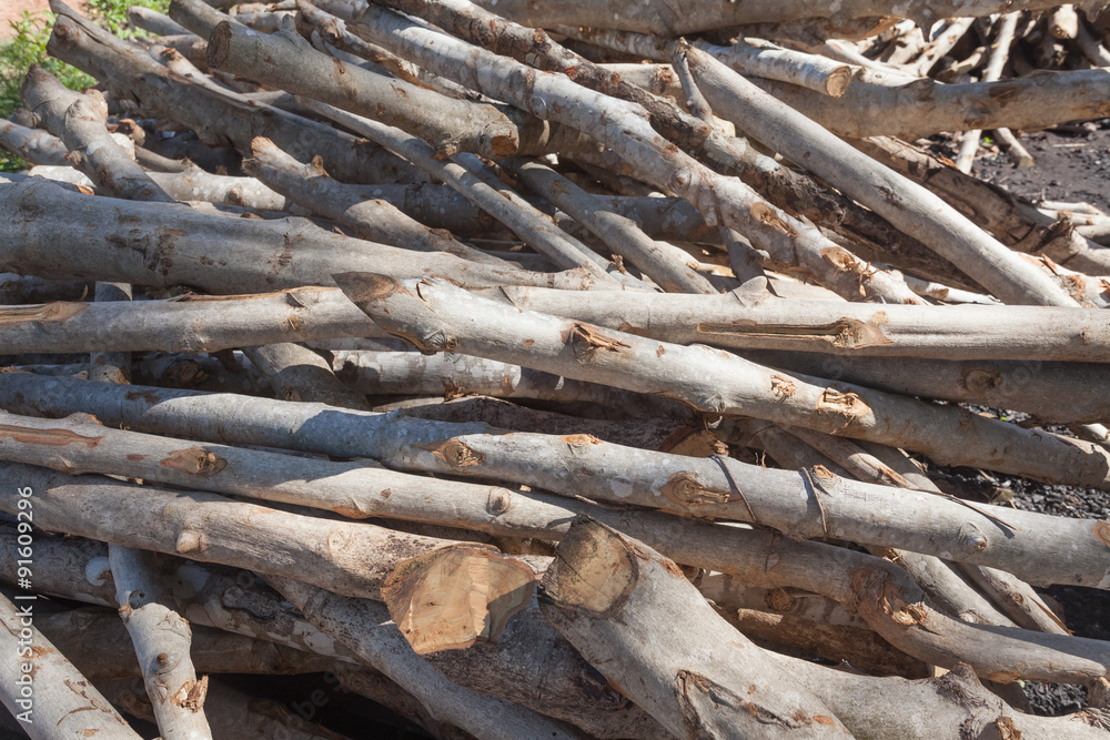 A small pile of logs in countryside , firewood stack