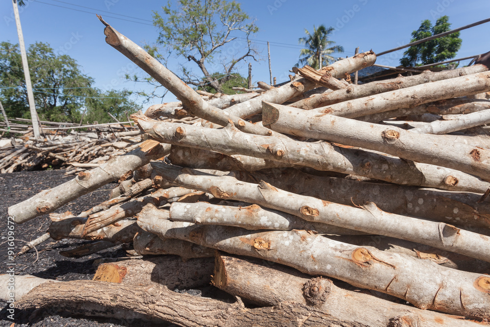 A small pile of logs in countryside , firewood stack