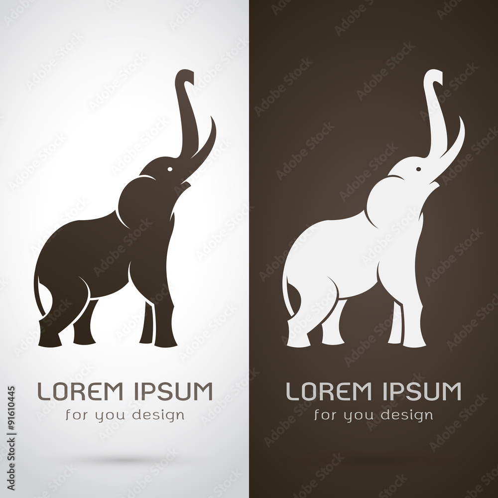 Fototapeta premium Vector image of an elephant design on white background and brown