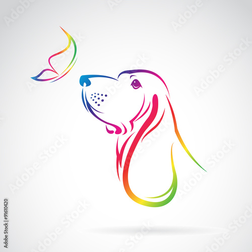 Vector image of dog and butterfly on white background