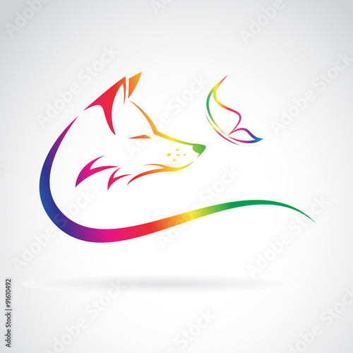 Vector image of fox and butterfly on white background