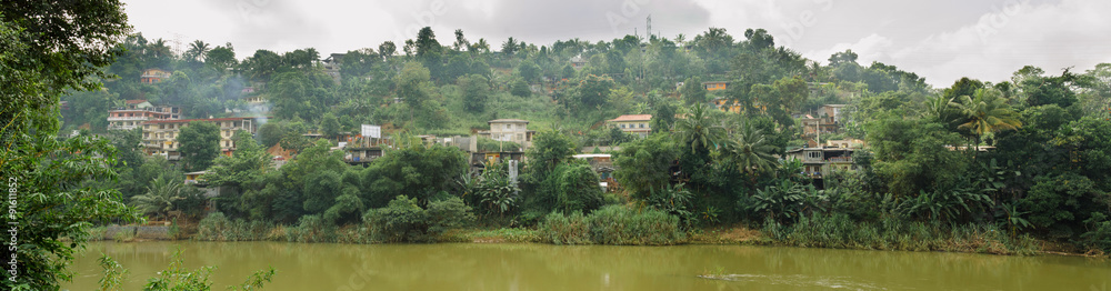Panorama of the river in the jungle. Sri Lanka