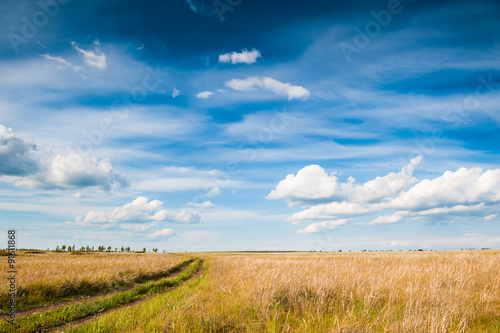 Field and blue sky with clouds