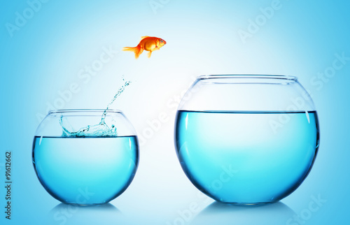 Goldfish jumping from glass aquarium,on blue background © Africa Studio