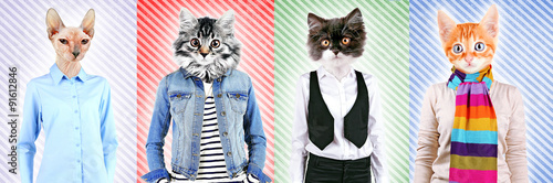Series of people with anima...