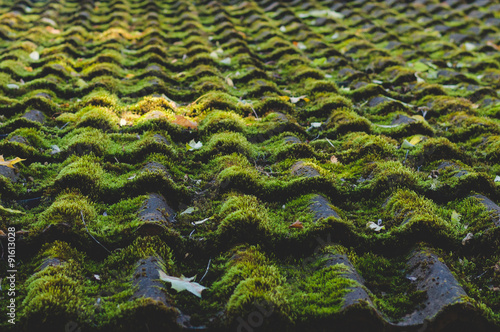 Old tiled roof covered by moss photo