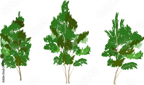 three green isolated trees illustration