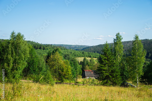 пейзаж с деревянным домиком на фоне леса