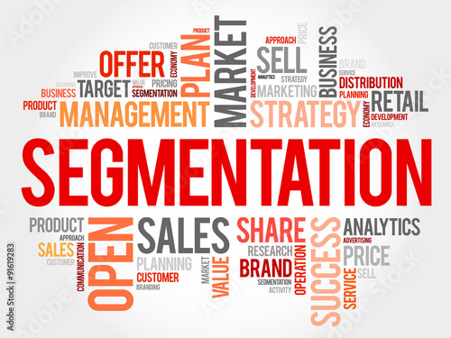 Segmentation word cloud, business concept