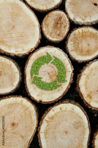 Stacked Logs Background with green plant recycle symbol