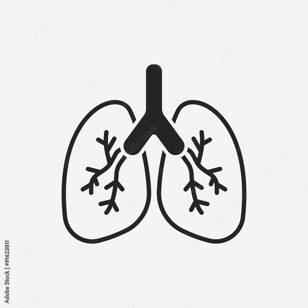 organ lung icon
