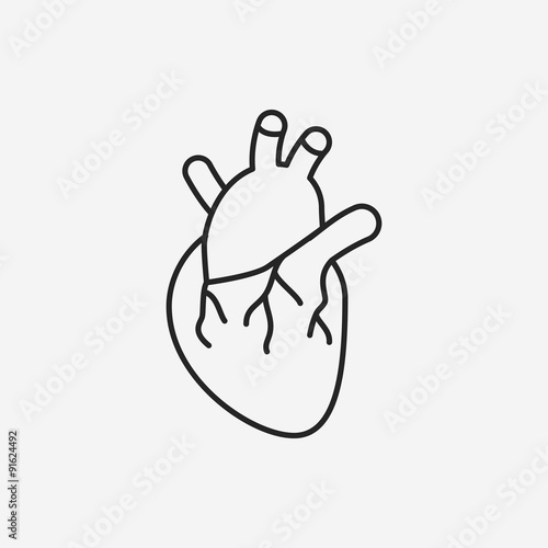 organ heart line icon
