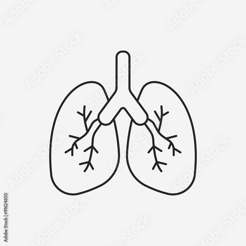 organ lung line icon