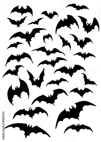Bats silhouettes set. Illustration fantasy bats silhouettes for halloween works