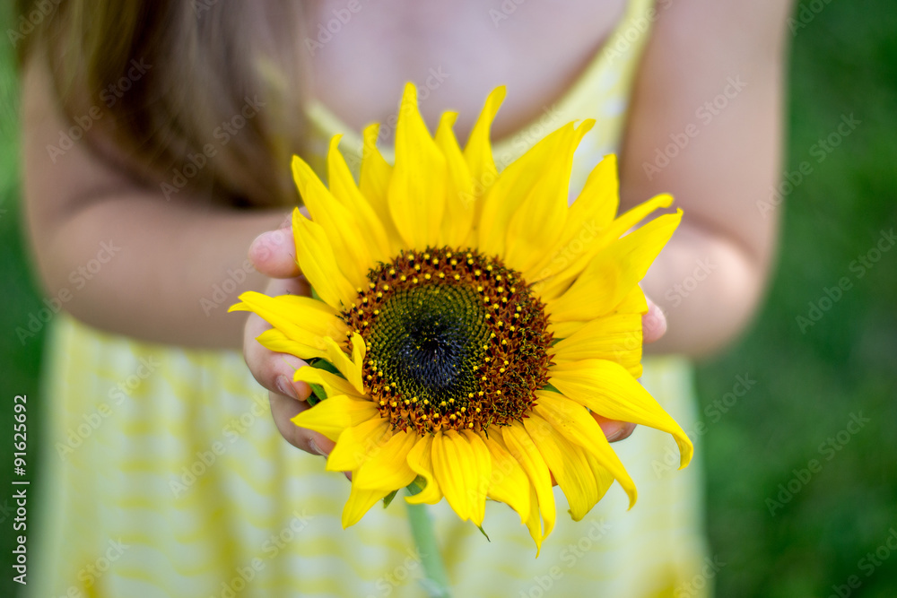 Fototapeta premium Girl holding a sunflower in hands