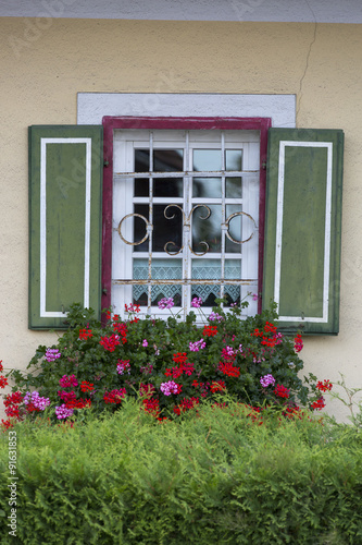Blumen vor dem Fenster  Steiermark    sterreich