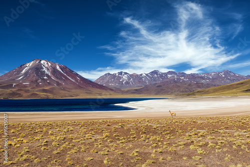 The Miscanti Lagoon in the Atacama Desert, Chile, 2013 photo