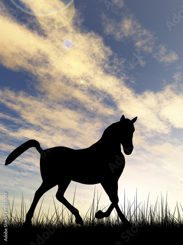 Horse silhouette in grass at sunset © high_resolution