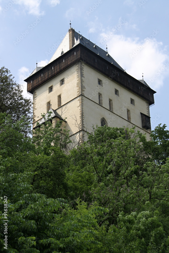 Catle tower in the woods