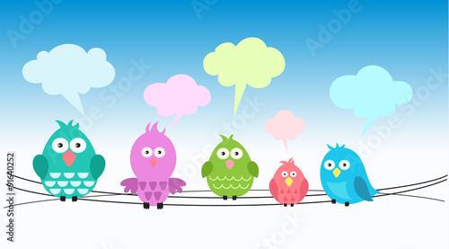 Cute colorful birds on wires