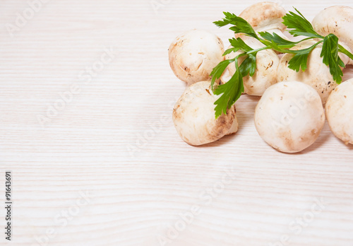 Food background of fresh mushrooms at the wooden board with copy space