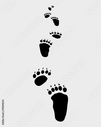 Trail forward of bear footsteps, vector illustration