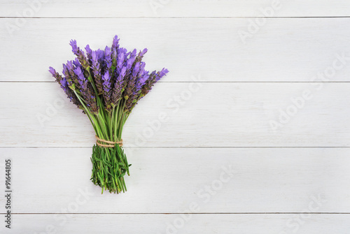bundle of lavender © Lev