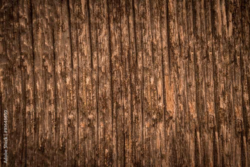 Fototapeta premium wood texture