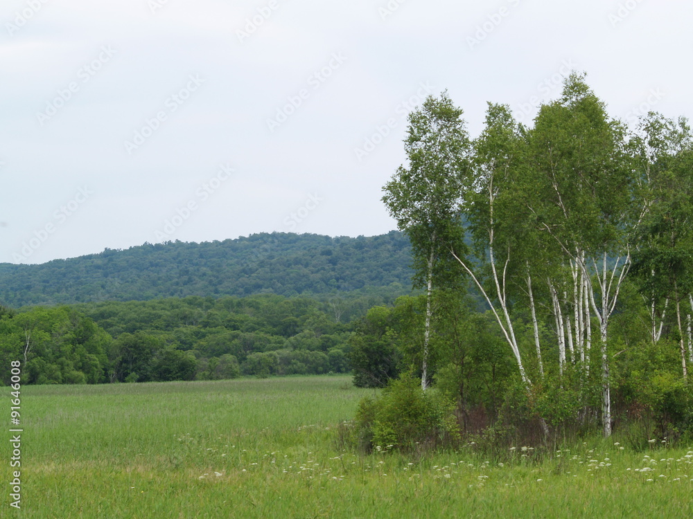 Obraz premium OLYMPUS DIGITAL CAMERA