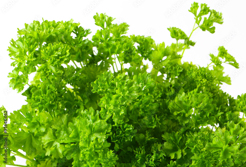 Fresh parsley Fresh parsley