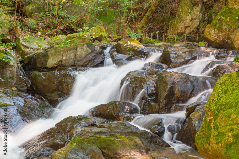 Water falls over a jumble of moss-covered boulders in forest.