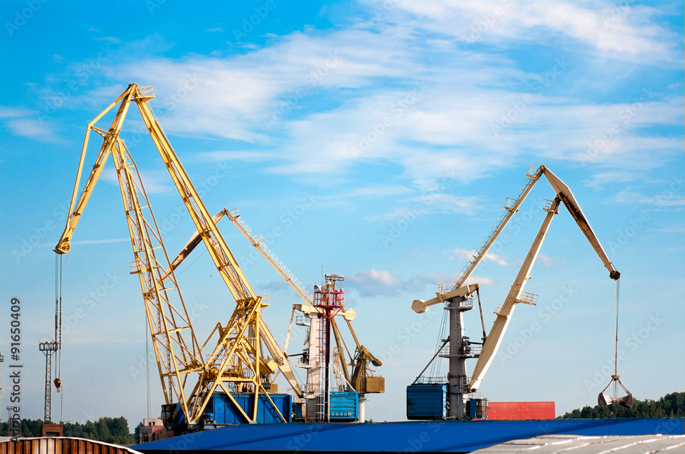 cargo cranes in the port of cargo cranes in the port of