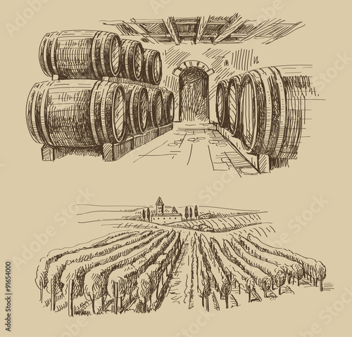 vineyard doodle