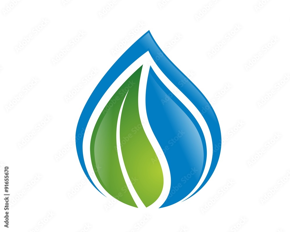 water and plant water and plant
