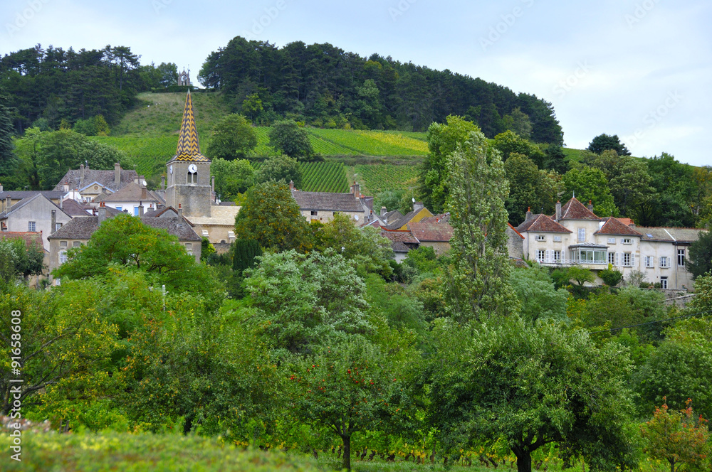 Pernand-Vergelesses (Bourgogne)