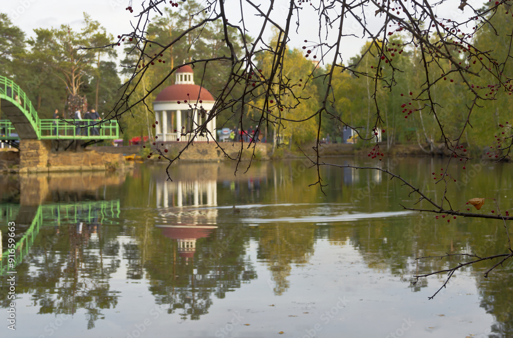 View of the pond in the autumn Park through the branches with berries. View of the pond in the autumn Park through the branches with berries.