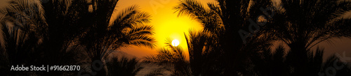 Fototapeta Naklejka Na Ścianę i Meble -  Sunrise - Red Sea