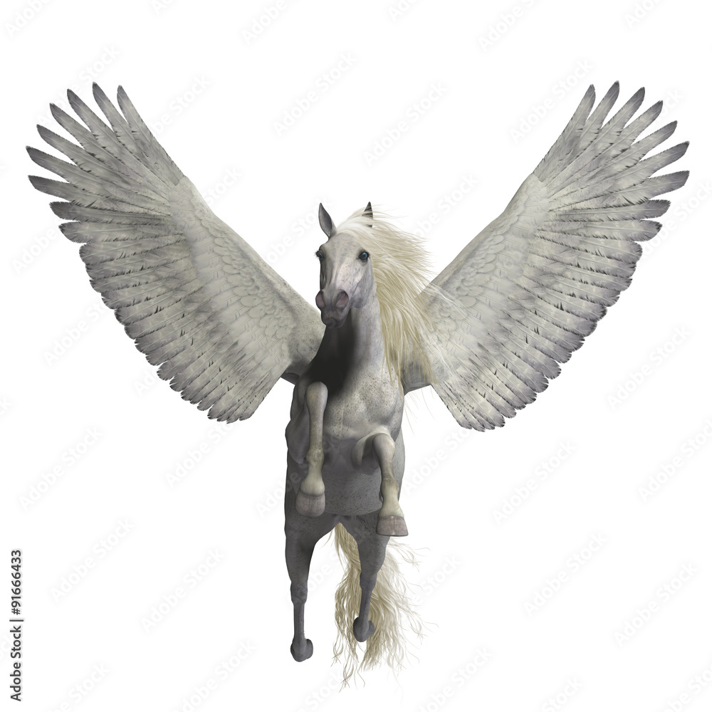 Pegasus on hotsell