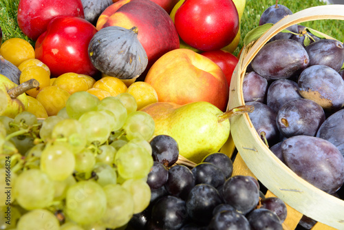Fototapeta Naklejka Na Ścianę i Meble -  various seasonal fruits, grapes, plums and pears